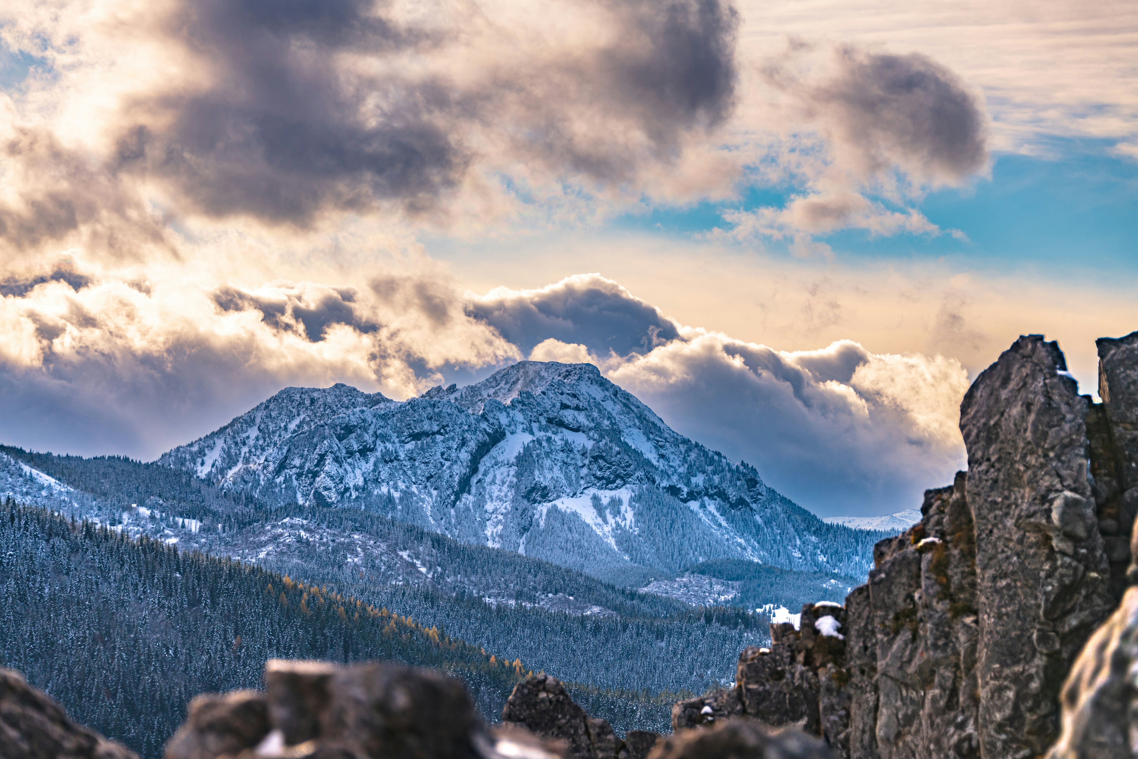 Gallery hero slide 1